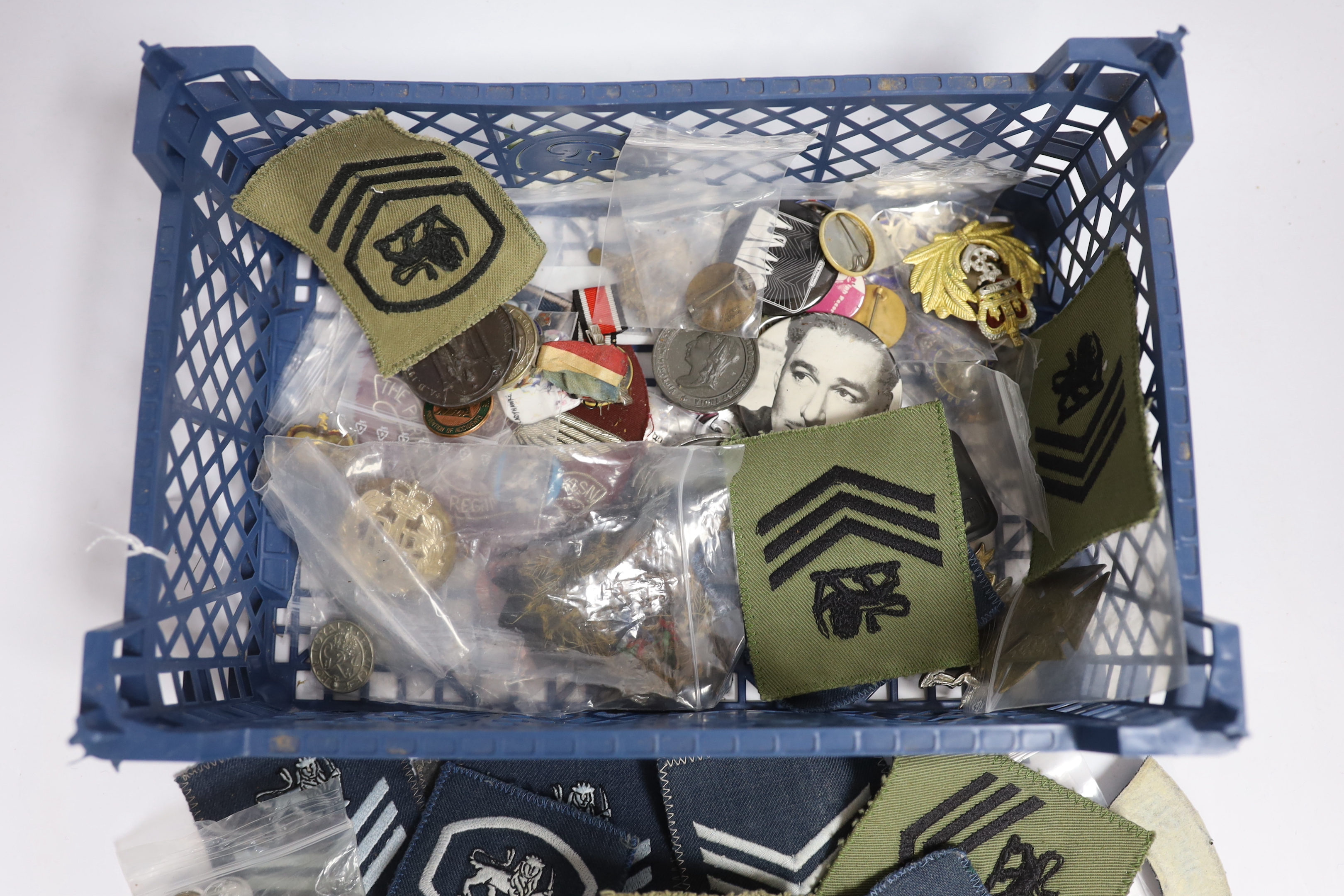 A collection of mostly military interest badges including cloth and enamelled examples
